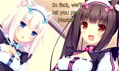 Nekopara joi