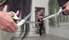 WE WILL DESTROY VICTORIA'S LEATHER PANTS AND UNDERWEAR (lp)