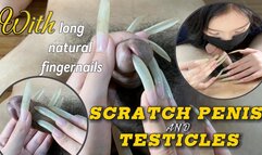 C4SBondage25 Scratch Penis And Testicles With Long Natural Fingernails | LINH'S LONG NAIL | CRAZY ABOUT LONG AND NATURAL NAILS