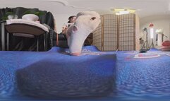 An 8KVR360 useless slave ejaculated and licked his feet at the new master