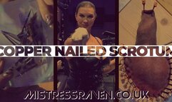 [1120] CBT Copper Nailed Scrotum