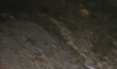 Anna's Litters Greasy Fastfood Wrappers and Cigarette Packs into the Ocean