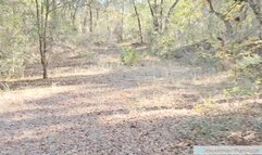 Horny MILF Takes HUGE Creampie on Hike!!!