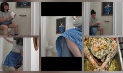 Funday Sunday Update