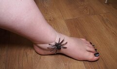 I want your money #213