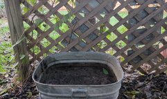 Fifi loses a pair of clear light blue high heels in a bin of deep mud