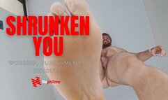 GIANT MAX AND THE SHRUNKEN GUY - POV