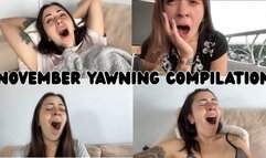 November yawning compilation