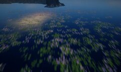 Ember Snow- Cum on Over: Neighbor Fuck with Will Pounder