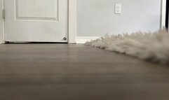 Giantess Tara turns a peeping Tom into her buttplug