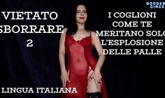 LINGUA ITALIANA - VIETATO SBORRARE 2 - I COGLIONI COME TE MERITANO SOLO L’ESPLOSIONE DELLE PALLE