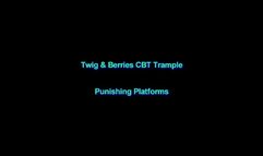 Punishing Platforms