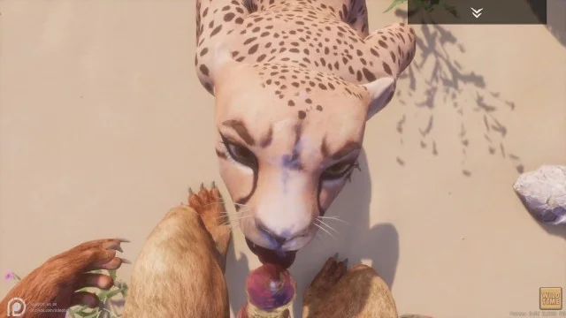 Furry Animal Girl Porn - Wild Life / Furry POV With Cheetah Girl Porn Video