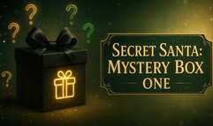 Secret Santa: Mystery Box One