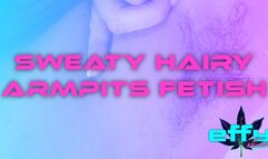 Sweaty Hairy Armpits Fetish Hot & Musky Close-Ups