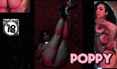 Spotlight Series Vol One Poppy & Fernanda Uzi