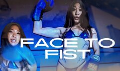 Face To Fist (4k)