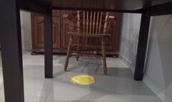 deceived by a trap a