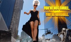 YOU’RE NOT SMALL. YOU’RE INVISIBLE.