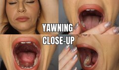 Close-up yawning - OnlyVanessa