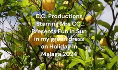 Wet Dress Sex On Holiday