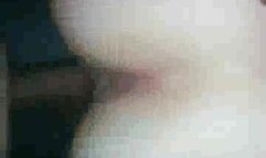 Whore wife letting huge Bbc stretch and breed her pussy