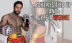 Boxer is tied up and gets a wedgie - Lalo Cortez