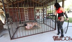 Temptress Raven Eve Trains Her Pet