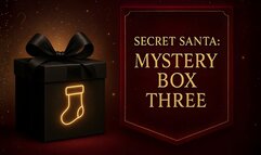 Secret Santa: Mystery Box Three