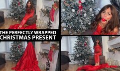 Scarlett Rose in The Perfectly Wrapped Christmas Present MP4