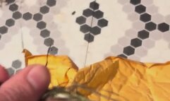 The best tickling objects MP4