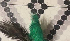 Feather Tickling Story MP4