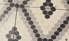 What is doggie style sex MP4