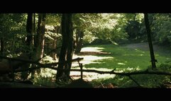 Prisoner Lo Bianco escape in Woods in cuffs