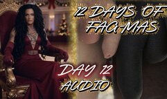 12 DAYS OF GAY-MAS AUDIO-DAY 12: Christmas Faggot Gangbang