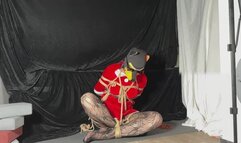 Christmas Shrimp Tie: Flexible Self-Bondage & Struggle