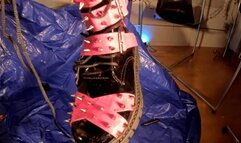 Red Mess Holiday Spectacular with Mistress Celene! clean version. Limited time Holiday Sale