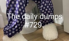 The daily dumps #729