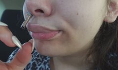 My Giantess stepsister finds a tiny stepbrother in her car and plays with him and puts it in her nose