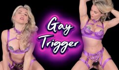 Gay Trigger Training