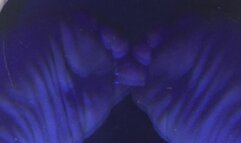 C4S BLUE MIRROR FEET