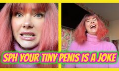 SPH Your Tiny Penis Is a Joke. I Own It.