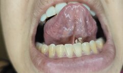 FELL MY WITH GIANT TONGUE SMALL SLAVE PART 2 BY KIARA AND SMALL JEFF FULL HD