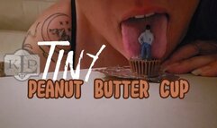 Tiny Peanut Butter Cup