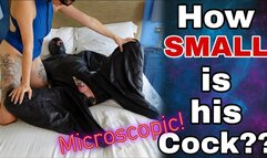 How Small Is His Cock? Femdom Slave SPH Humiliation