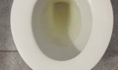 MONEY DRAIN GOLD PEE