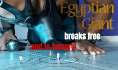Egyptian giant breaks free and is hungry!