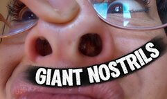 POV Giant snot-filled nostrils, pig nose in close-up