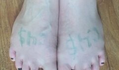 STAGES RENTED BLONDE HARDWOOD FLOOR