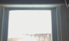 SUNLIGHT BALL ON CHESTNUT HARDWOOD DAY TIME DAY LIGHT EST. SUN